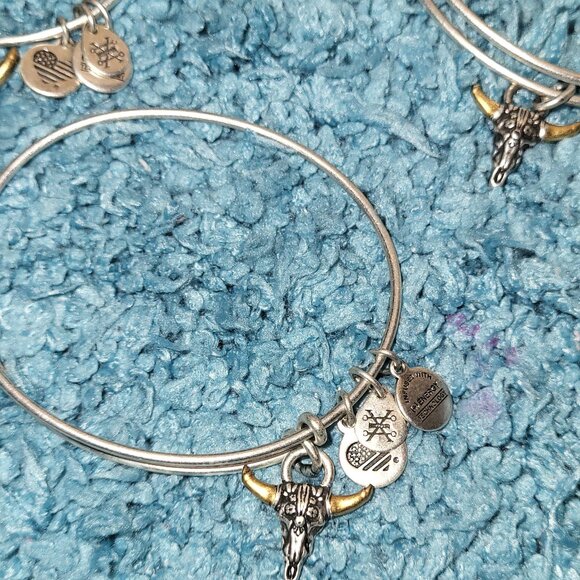 3 Bracelets - Alex And Ani Spirited Skull Charm Bangle Rafaelian Silver Finish - Picture 1 of 2